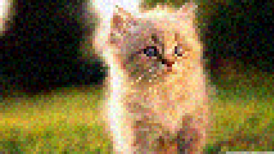 kitty bitmap